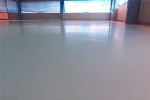 Epoxy Pu Floor